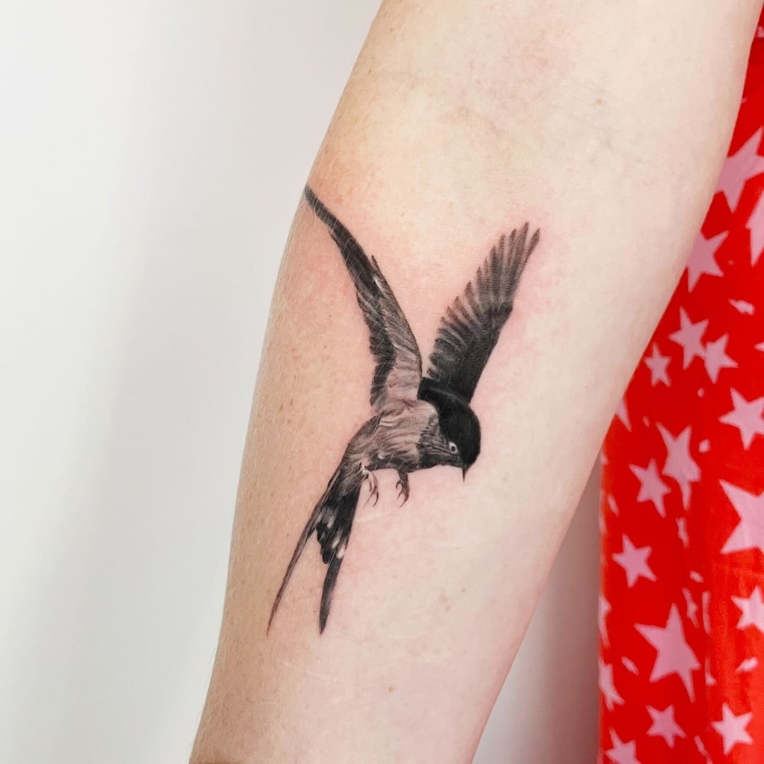 Black and grey tattoo of a bird in flight on an arm